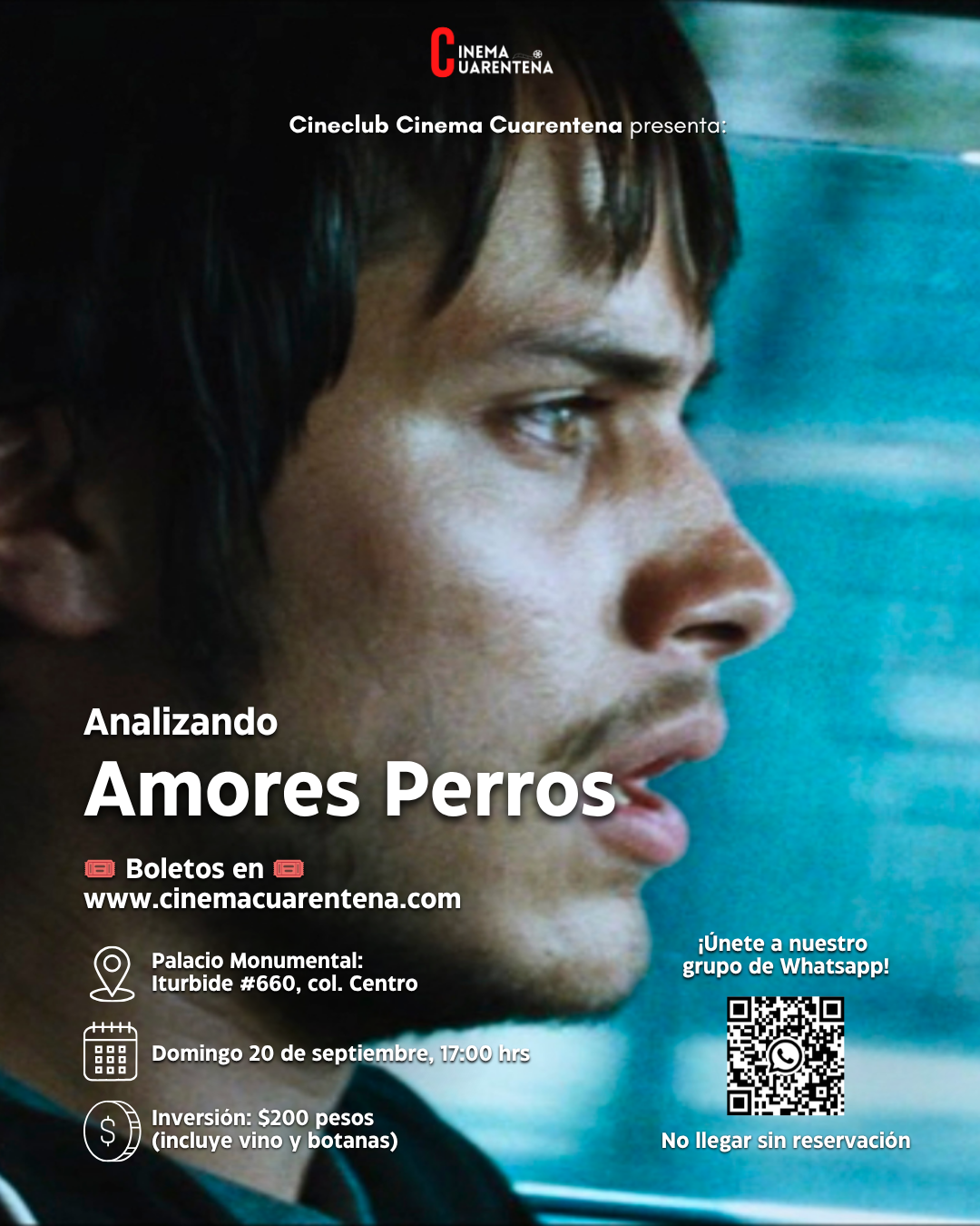 Amores Perros